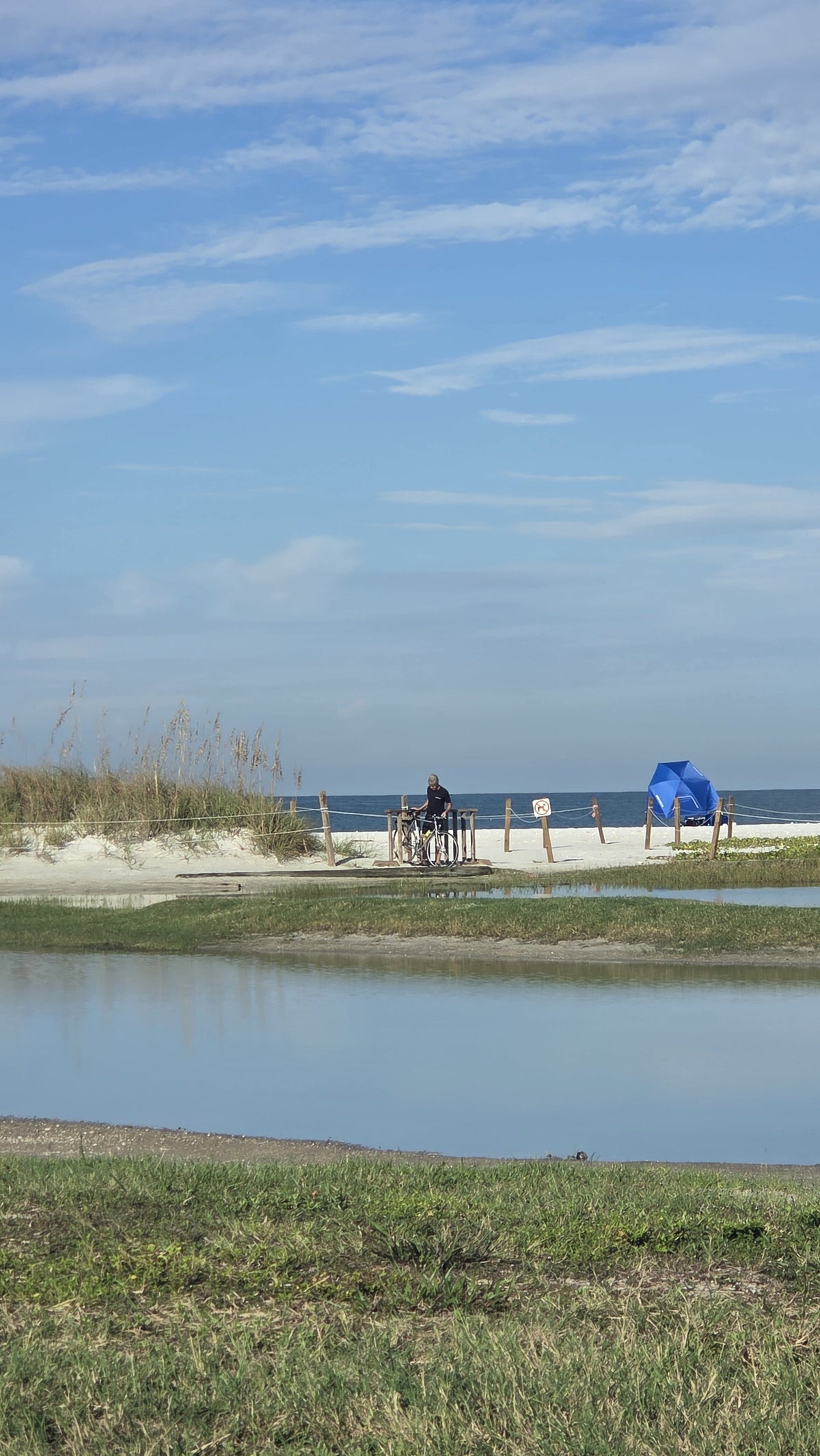 View from the parking area at Honeymoon Island State Park — blue sky over the water, green vegetation along the shoreline, sandy beach in the foreground