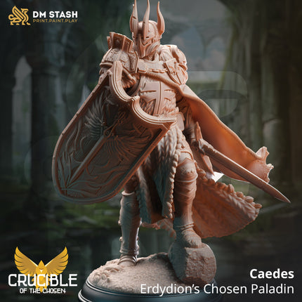 Caedes, Erdydion's Chosen Paladin (Male Paladin)
