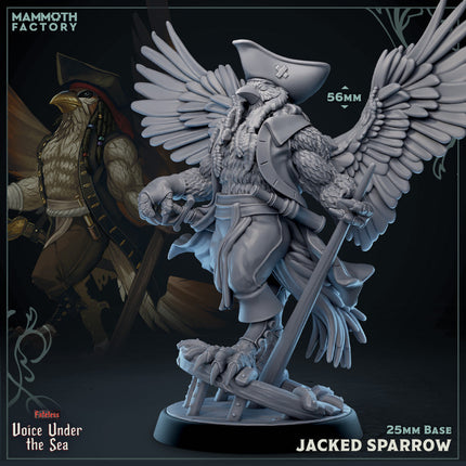 Jacked Sparrow (Absolutely Shredded Aarakocra Pirate)