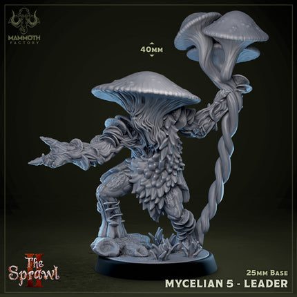 Mycelian 5 (Myconid Warrior Leader)
