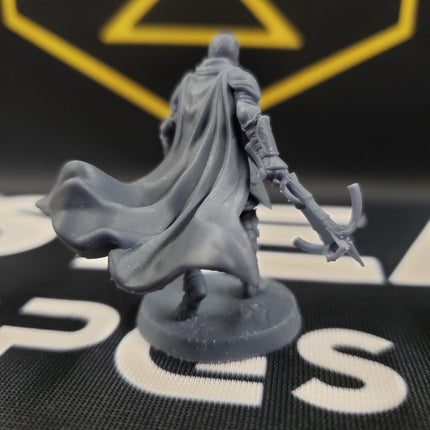 Chivalrian Knight with Crossbow 5 (Paladin)