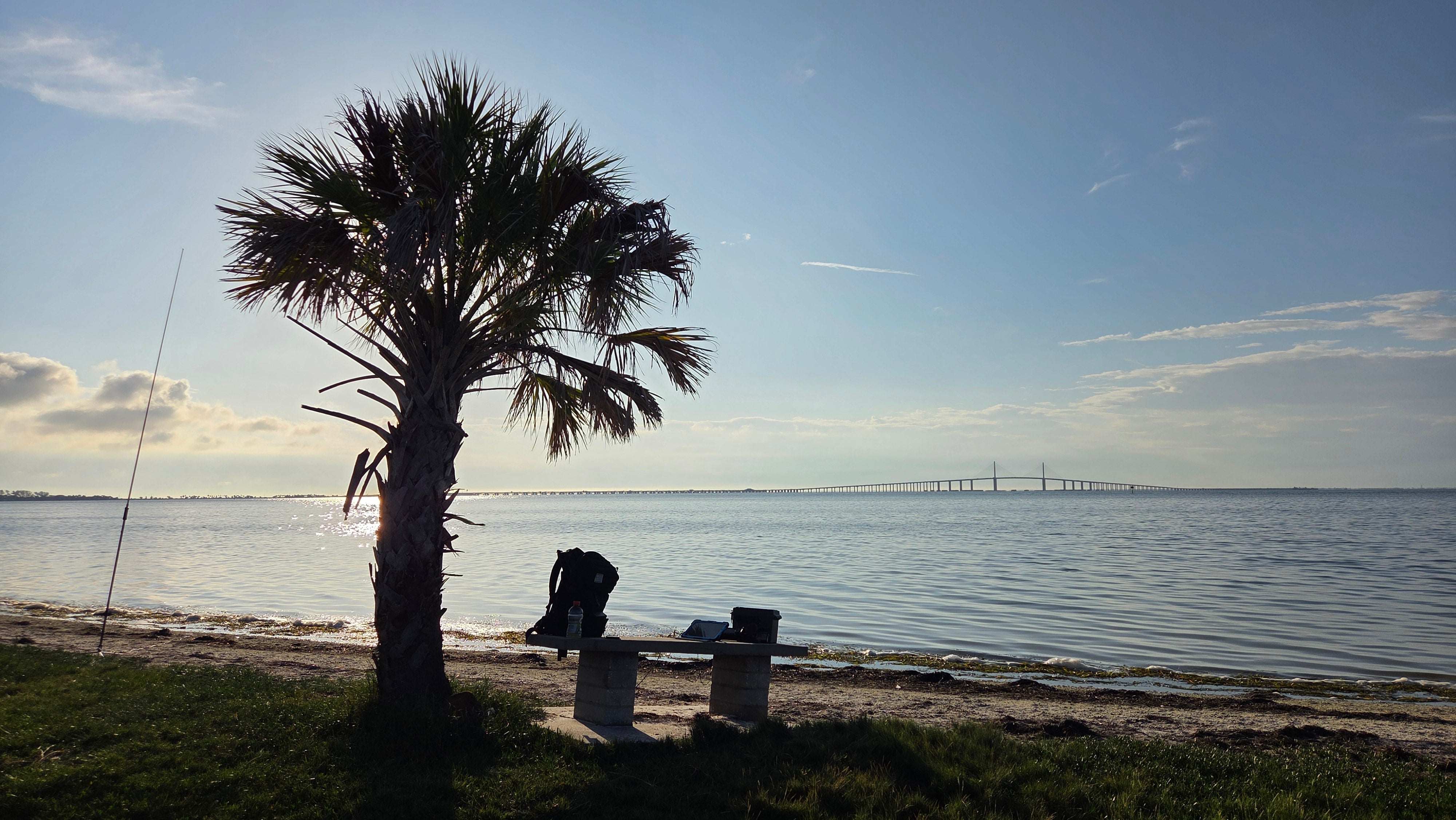Field Operations: Fort De Soto East End — Sunshine Skyway, 60K Likes, and a Pelican Rescue