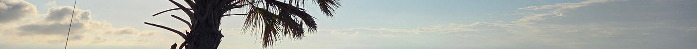 Field Operations: Fort De Soto East End — Sunshine Skyway, 60K Likes, and a Pelican Rescue