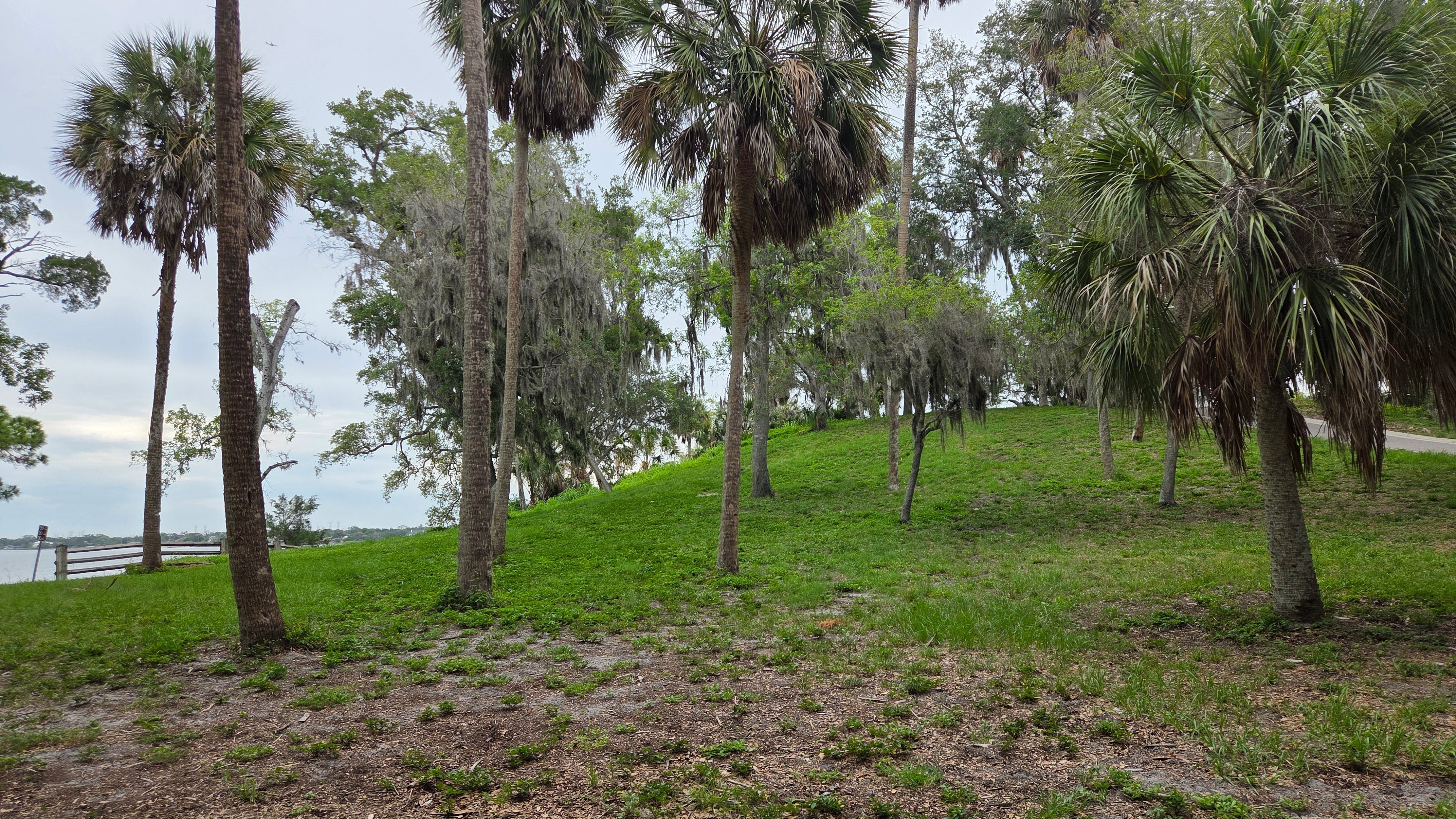 Activation Report: Philippe Park — June 9, 2026
