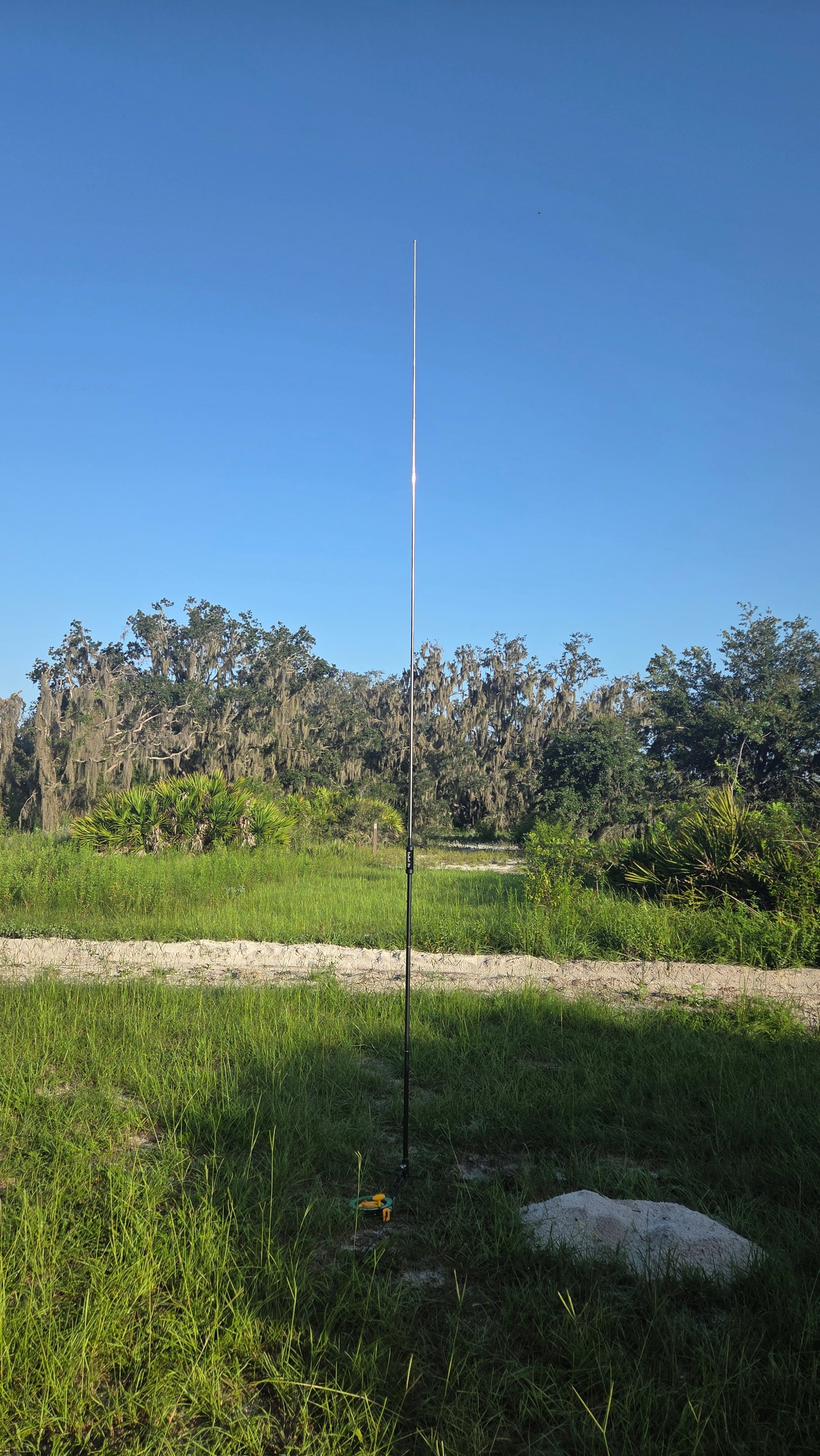 The Radioddity HF-010 vertical standing alone on its ground spike in mown grass at Moody Branch, whip fully extended against a cloudless blue sky, with saw palmetto and moss-draped oaks behind.
