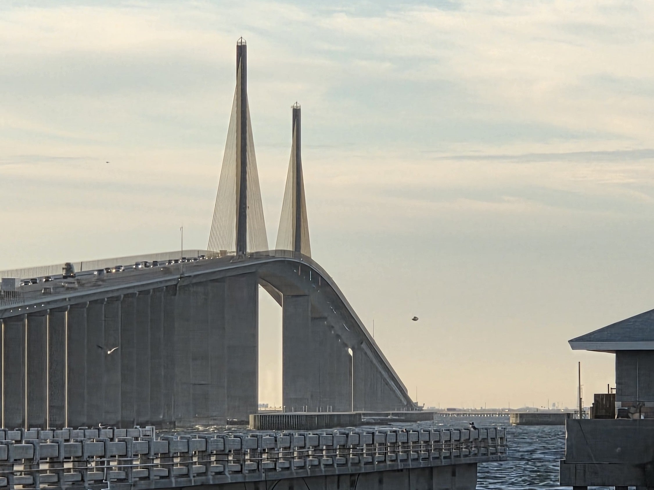 The Sunshine Skyway Bridge seen from the fishing pier in morning light, both cable-stayed pylons rising over the long approach span, the pier railing in the foreground and calm Tampa Bay water below.