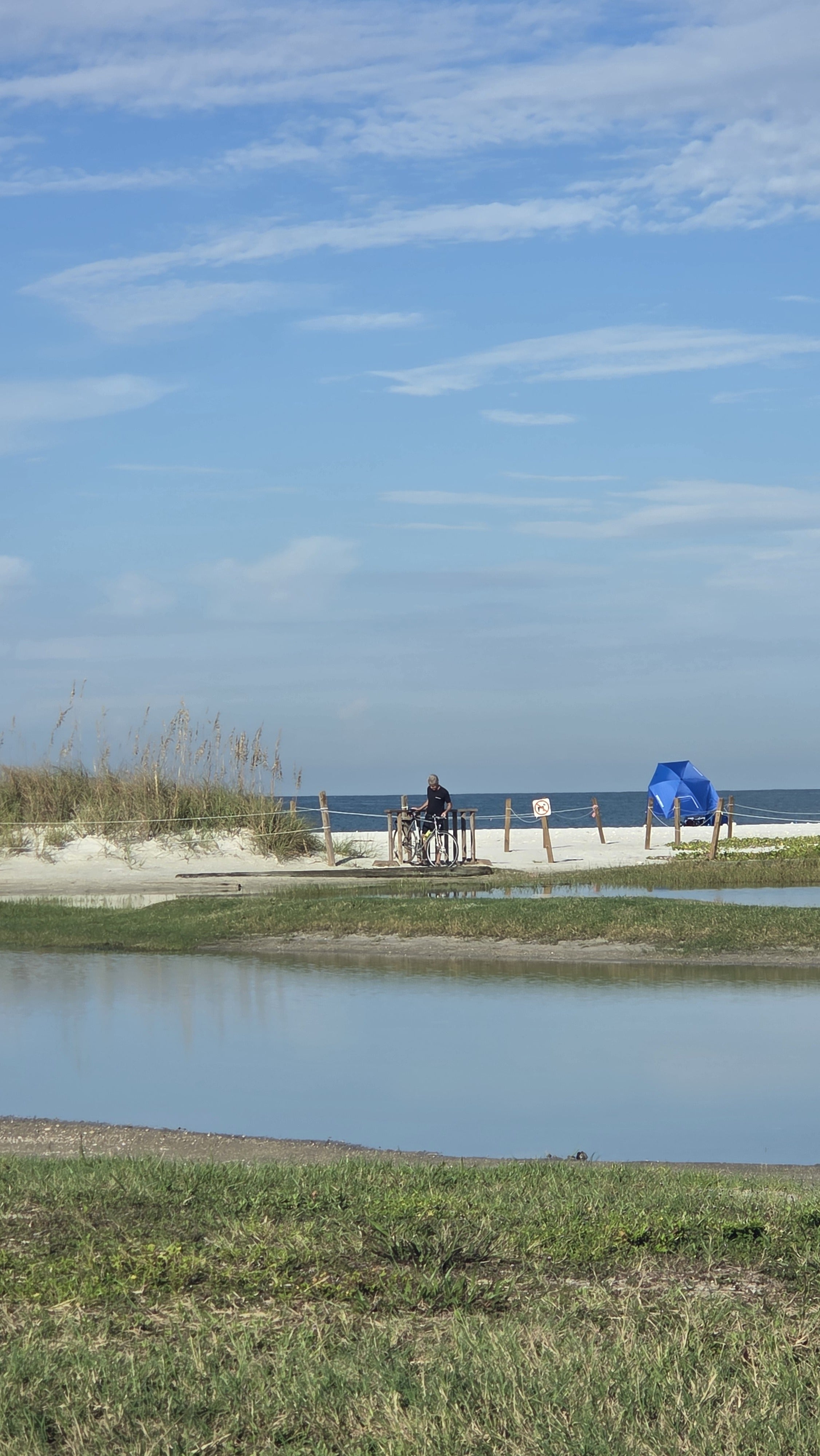 View from the parking area at Honeymoon Island State Park — blue sky over the water, green vegetation along the shoreline, sandy beach in the foreground