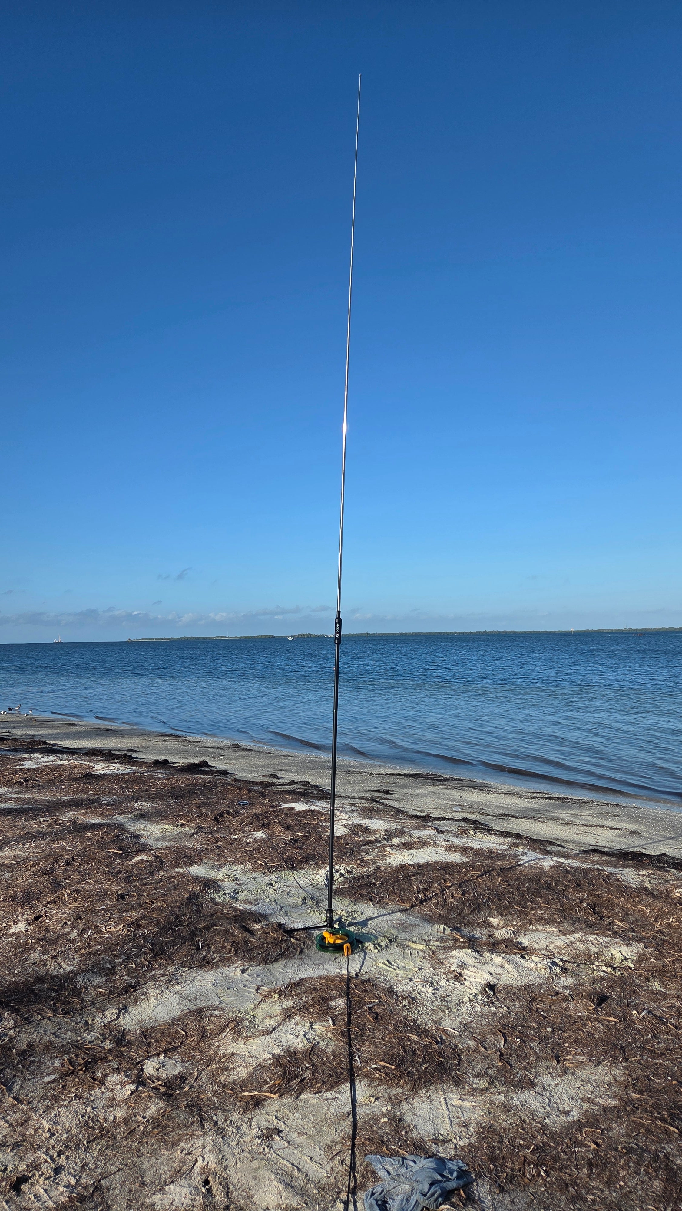 Radioddity HF-010 vertical fully extended on a yellow-footed tripod against a clear blue sky, Tampa Bay calm water and distant treeline in the background, rocky seaweed-covered shoreline in the foreground.