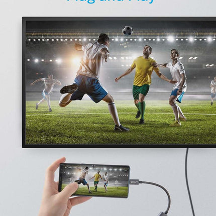 Anker <b>310</b> USB-C Adapter (4K HDMI)