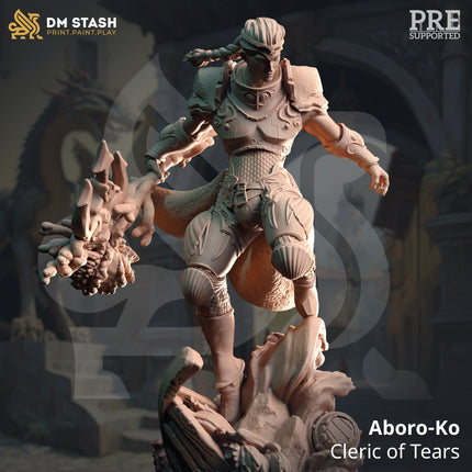 Aboro-Ko, Cleric of Tears (Male Human Pirate Cleric)