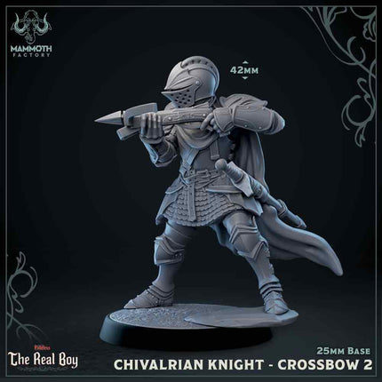 Chivalrian Knight with Crossbow 2 (Paladin)