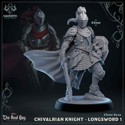 Chivalrian Knight with Longsword 1 (Paladin)