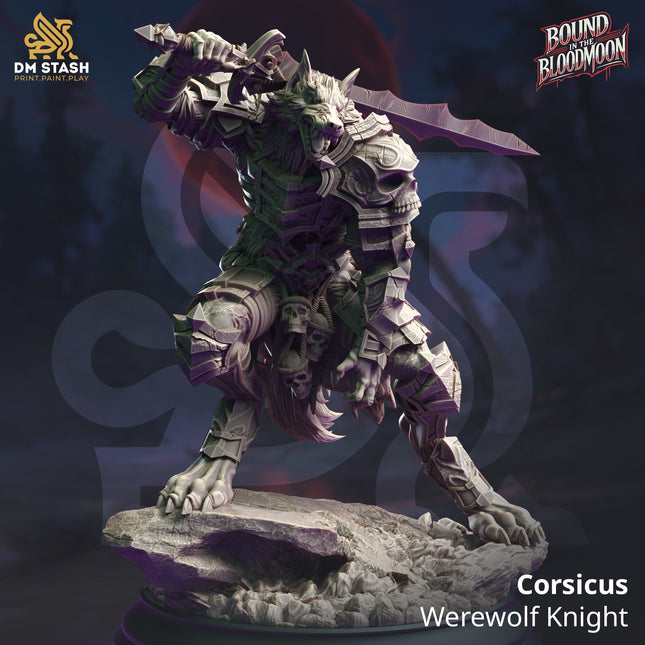 Corsicus, Werewolf Knight (Male Werewolf Paladin)