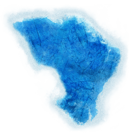 Arctic Forests