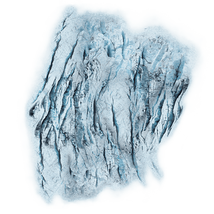 Arctic Forests