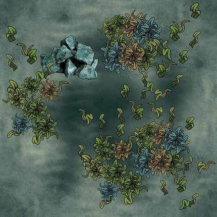 Lakes, Oceans, & Sea Floors