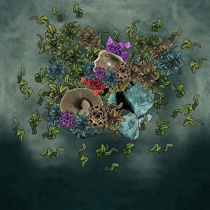 Lakes, Oceans, & Sea Floors