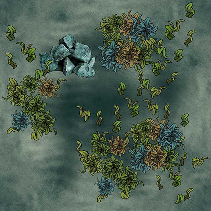 Lakes, Oceans, & Sea Floors