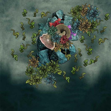 Lakes, Oceans, & Sea Floors