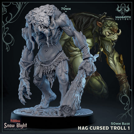 Hag Cursed Troll 1
