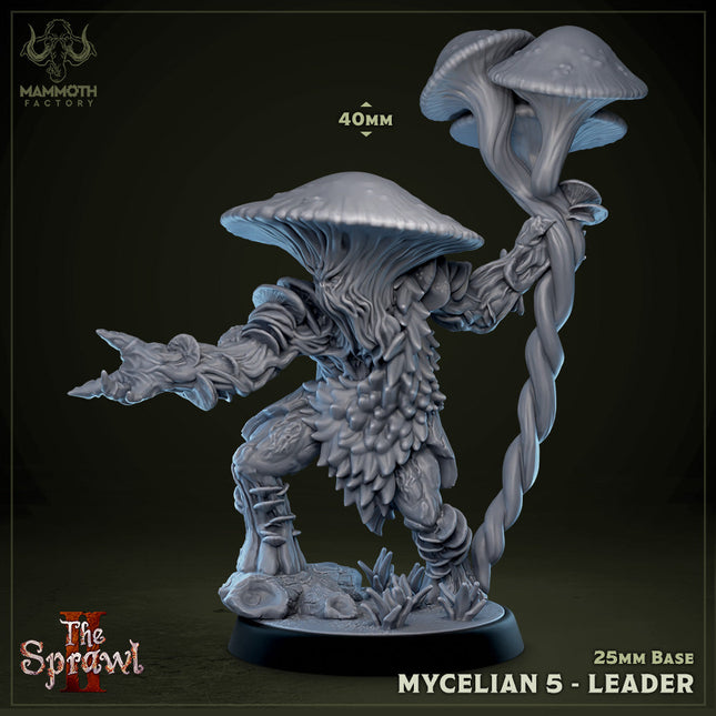 Mycelian 5 (Myconid Warrior Leader)