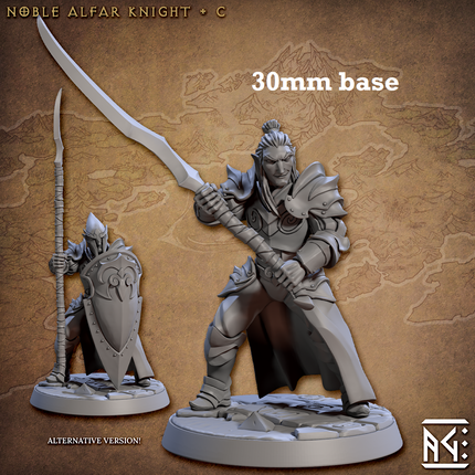 Noble Alfar Knight: Sculpt C (Male High Elf Soldier)
