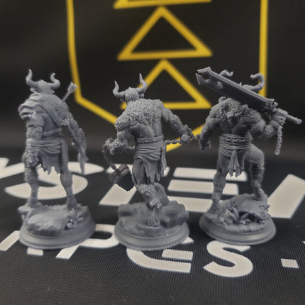 Minotaurs of the Labyrinth's Depths