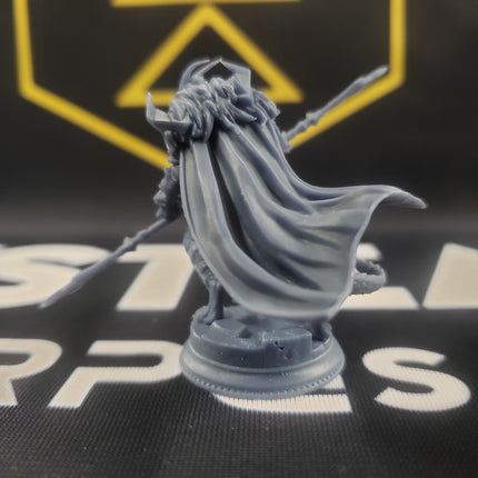 Apokris the Resolute, Silver Dragonkin Paladin (Male Dragonborn Paladin)