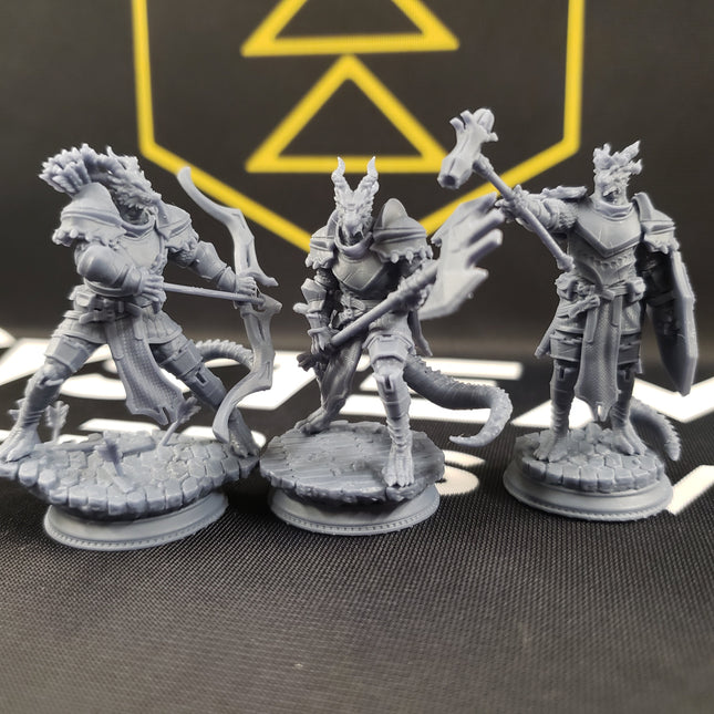 Azmordion's Chosen, Silver Dragonkin Knights (Dragonborn Paladins)