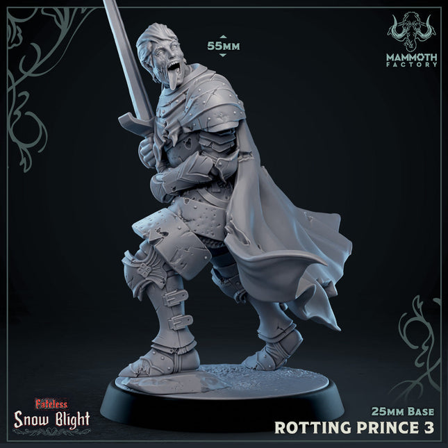 Rotting Prince 3 (Male Undead Human Noble)