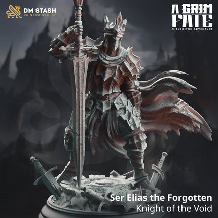 Ser Elias the Forgotten, Knight of the Void (Male Human Paladin)