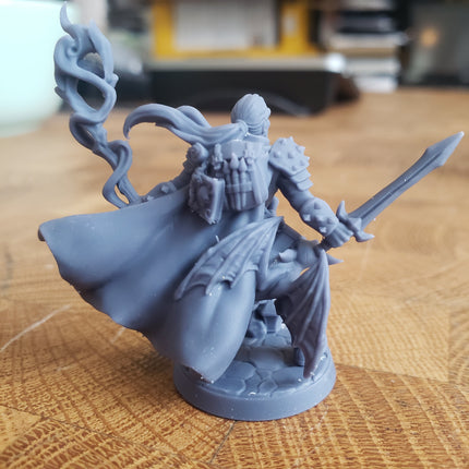 Wappellious Spellbrush (Male Human Wizard / Rogue)