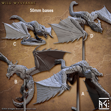 Wild Wyverns
